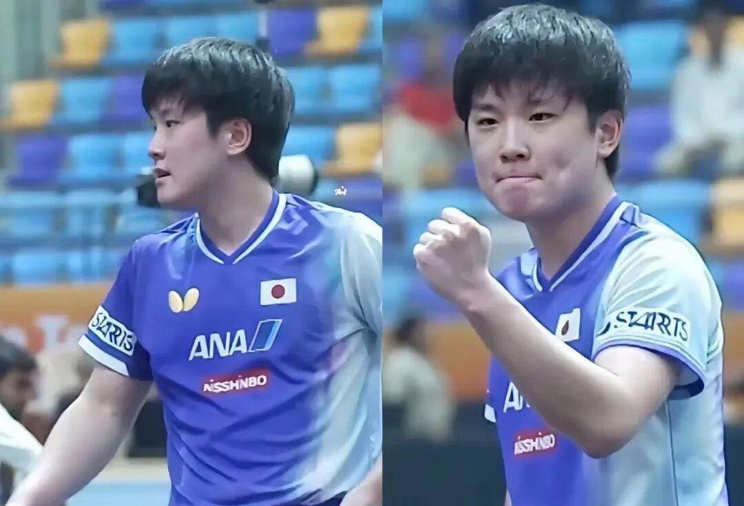 中国队逆转法国队,张本智和高光表现 中国队逆转法国队,张本智和高光表现