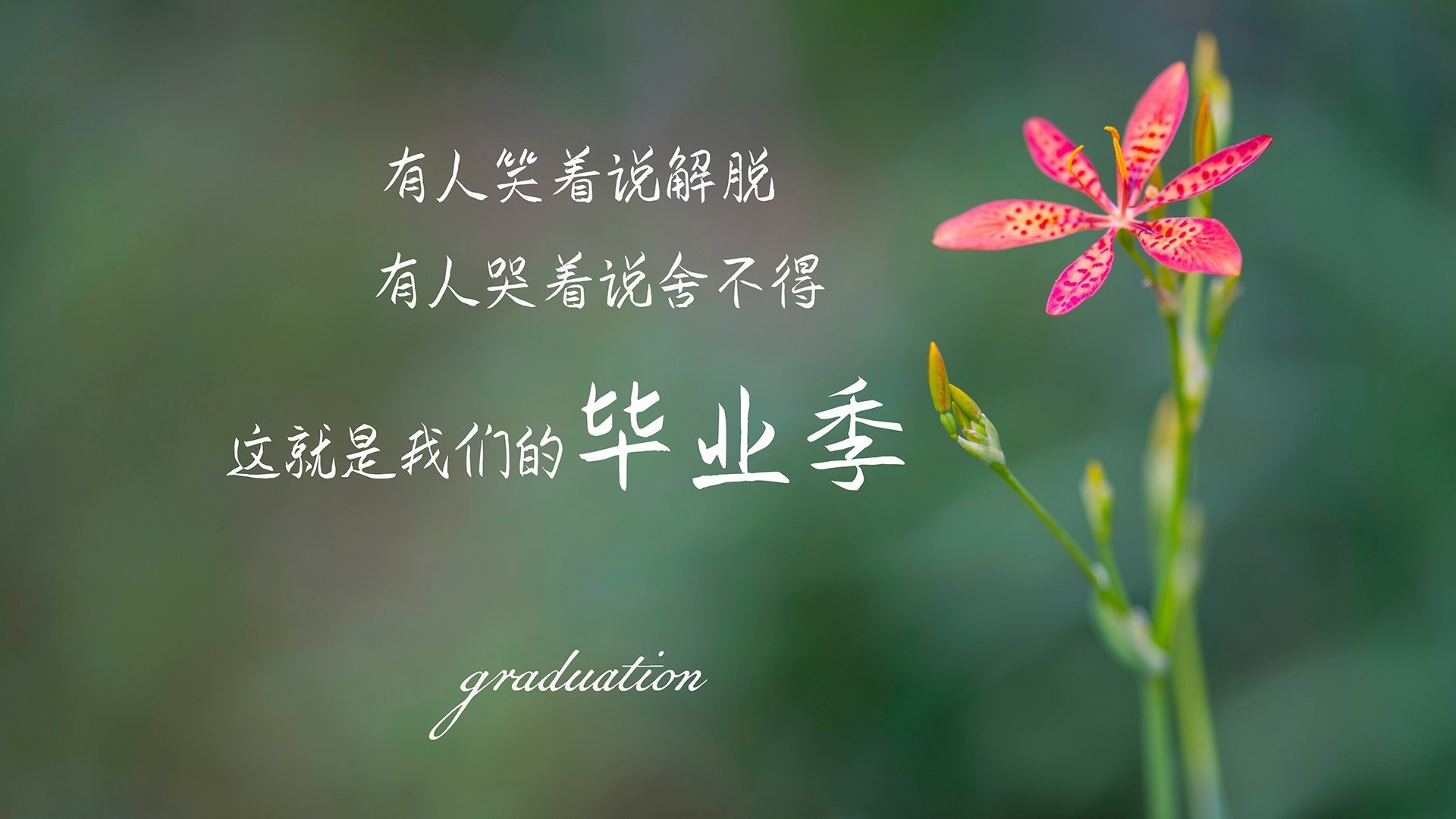 拉什福德存在感拉满,摩纳哥生死战取胜巴拉圭,绿茵场上的双重奏鸣